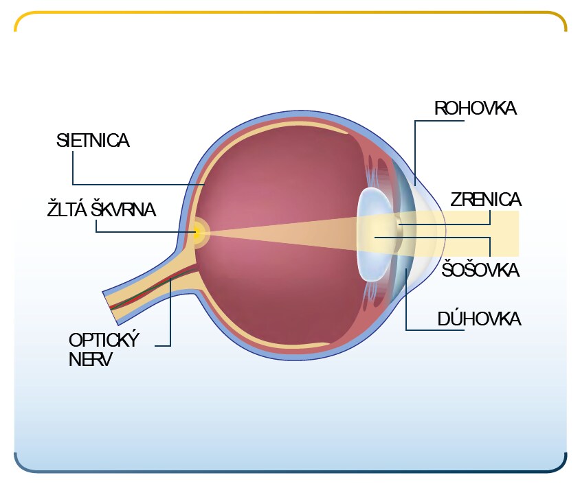 Eylea Patient