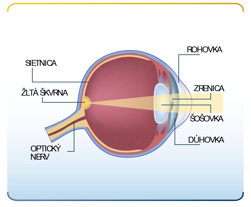 Eylea Patient